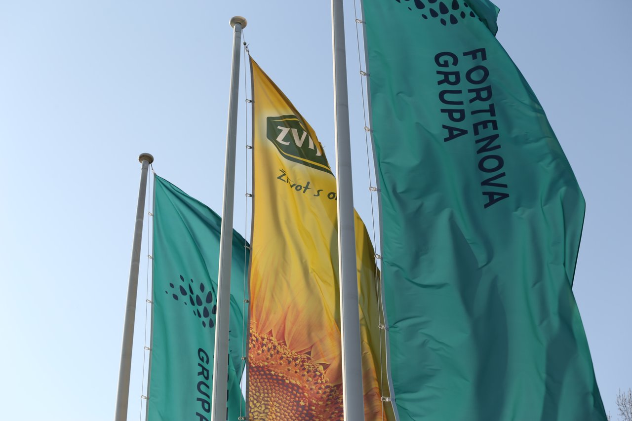 <p>FORTENOVA GRUPA, znak, totem i zastava</p>