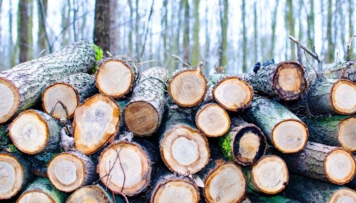 Branche enttäuscht über die Preiserhöhung von Holzprodukten