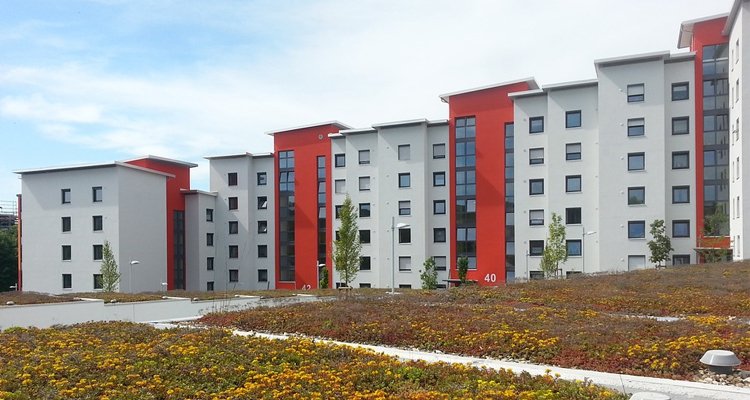 Nur das Immobiliengeschäft in Kroatien hat Produktivitätsniveaus, die mit Deutschland vergleichbar sind