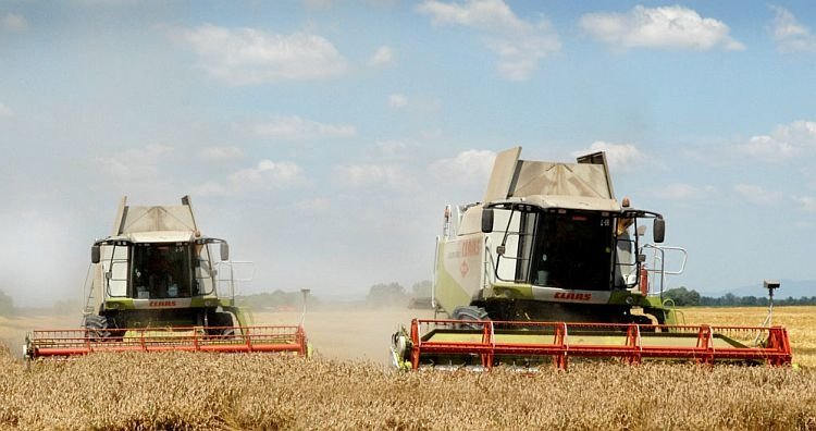 Ungarn angeblich das Höchste für Fortenovas Unternehmen geboten. Analysten: Das hat nichts mit Geschäft zu tun!