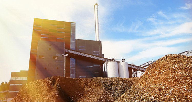 Vereinigung warnt: Die Stilllegung von Biogasanlagen hat begonnen