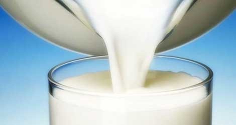 HUP: Dringende Maßnahmen erforderlich, um die kroatische Milchindustrie zu retten