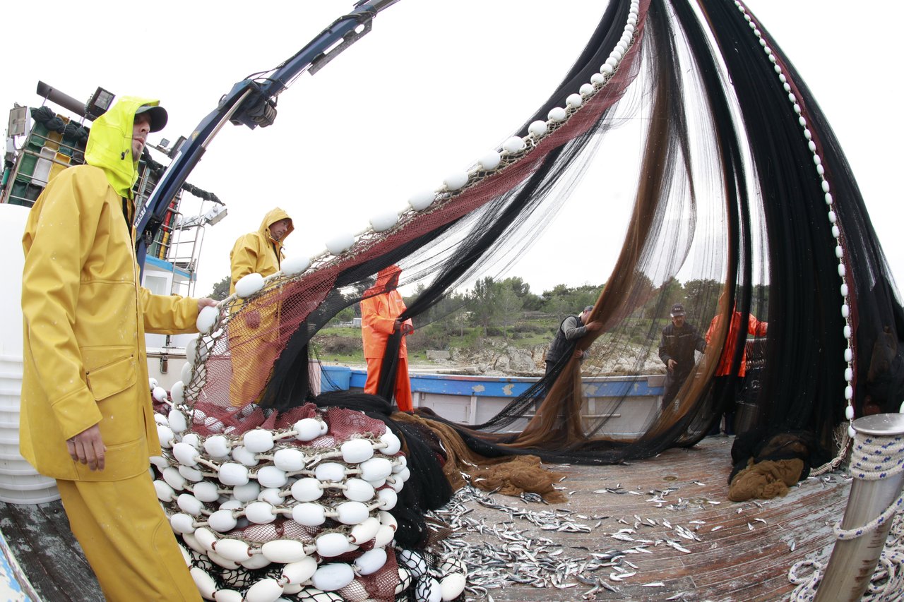 <p>Ribari, ribarstvo</p>