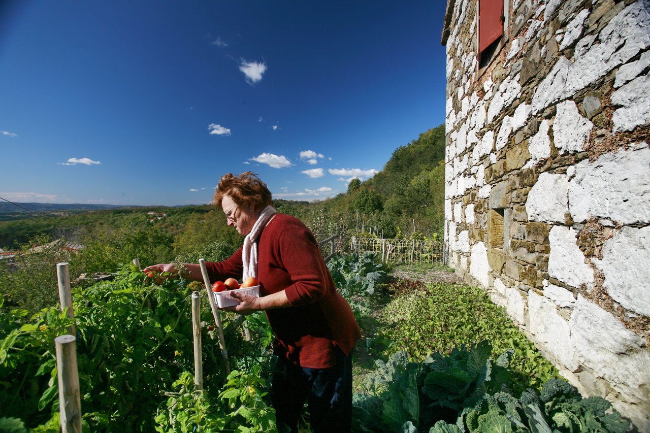 New Hospitality Law Hits Family Farms in Agritourism