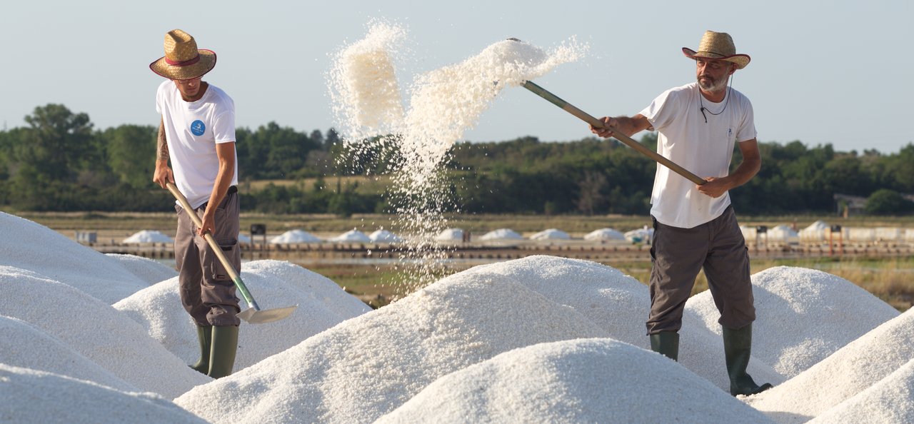 <p>Solana Nin, proizvodnja sili, radnici u solani, sol, berba soli</p>