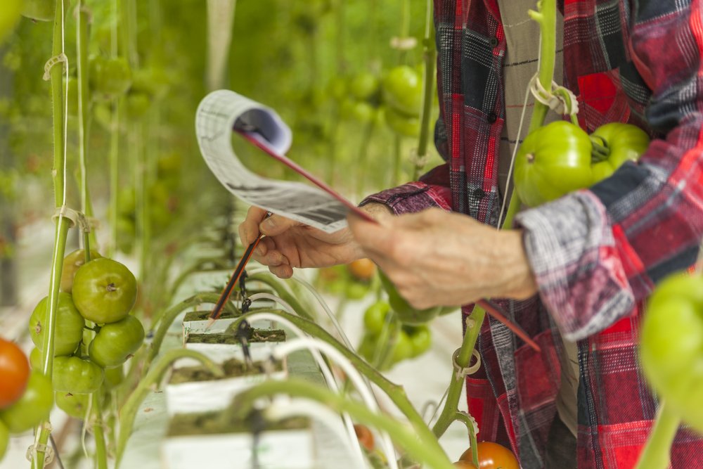Verbände der Lebensmittelproduzenten fordern einen einheitlichen Mehrwertsteuersatz von 5 Prozent