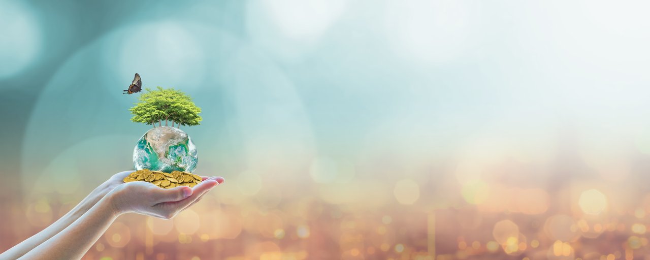 Von den Renditen auf Investitionen für eine bessere Welt hat sich bisher niemand schwindelig gefühlt