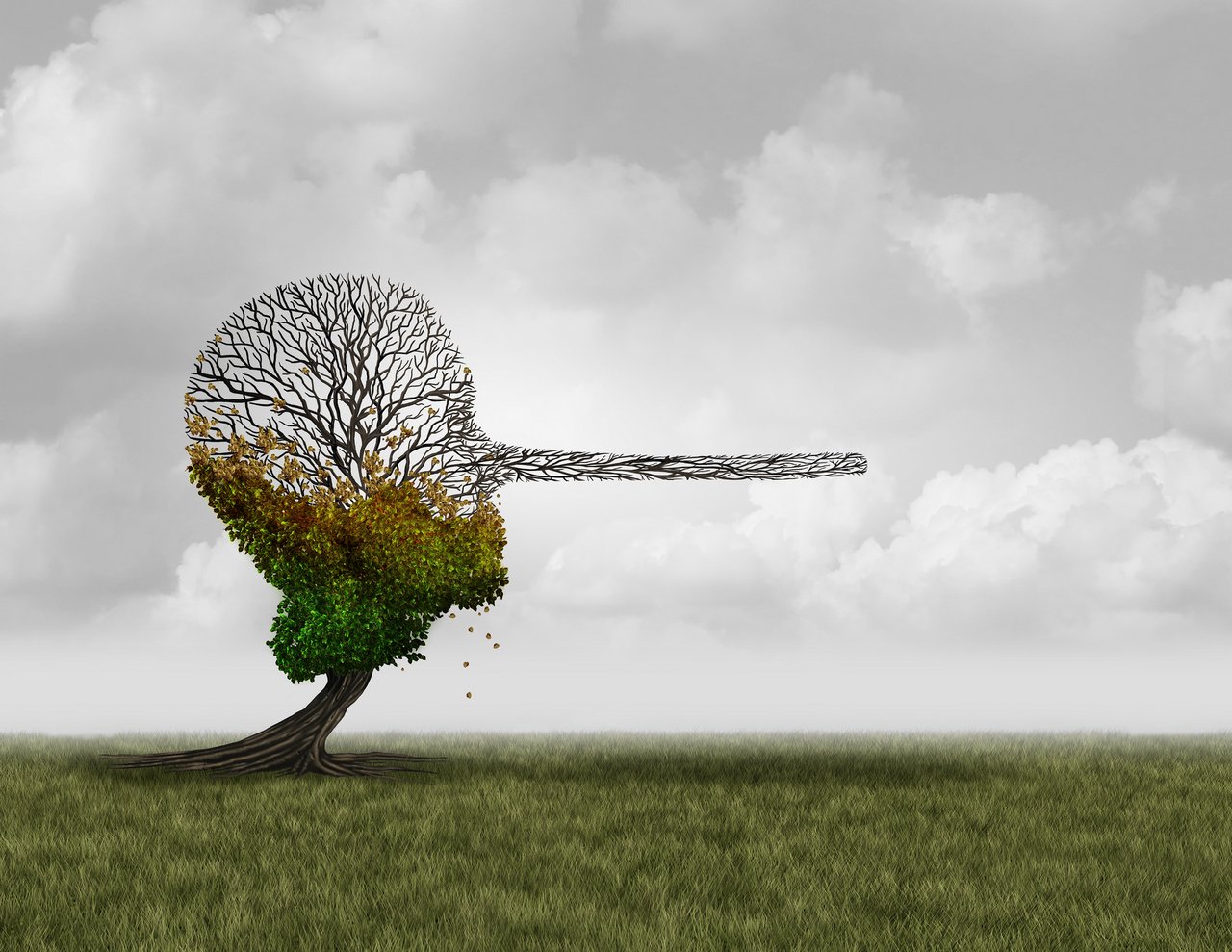 COP27: EC-Chef sagt, dass die EU in diesem Jahr die Nutzung erneuerbarer Energien verdoppelt hat