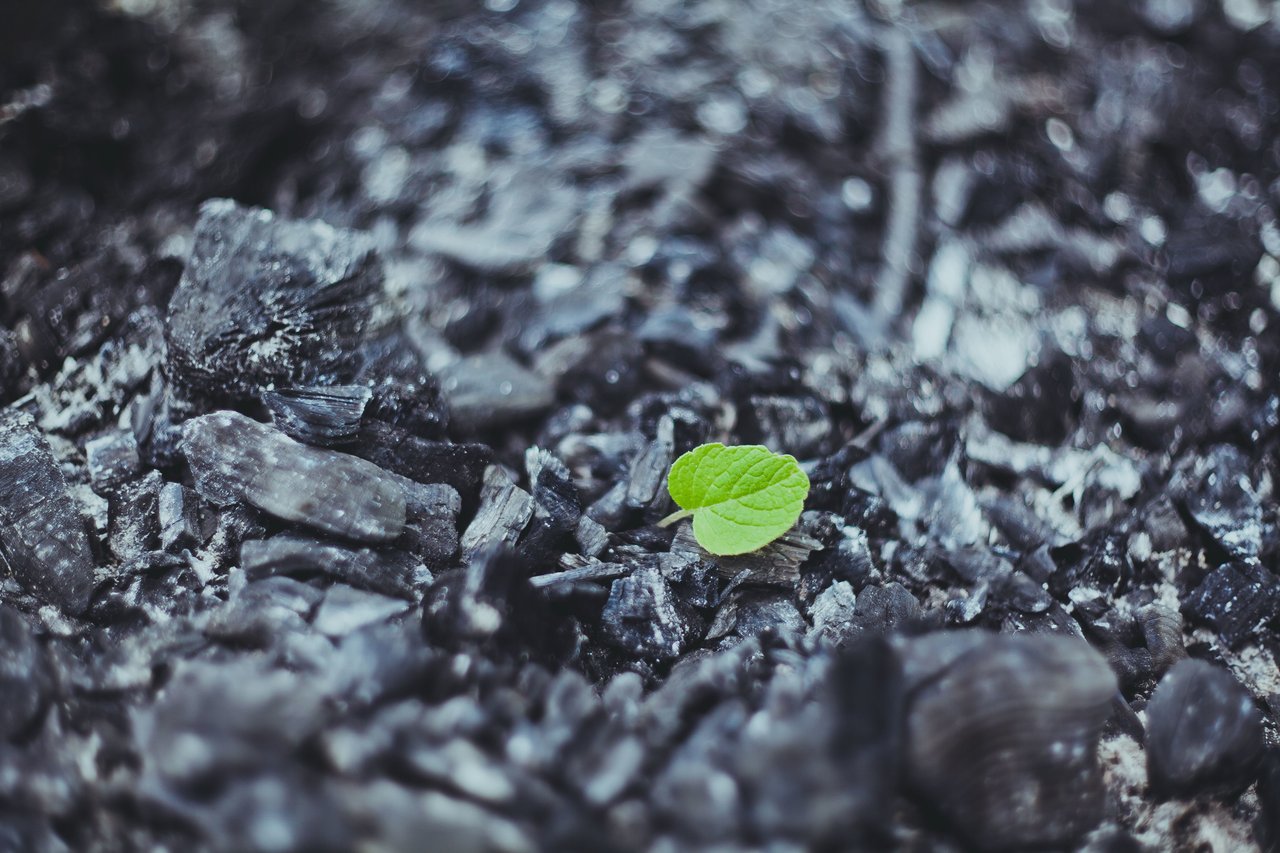 IEA: Wir nutzen Kohle mehr als je zuvor