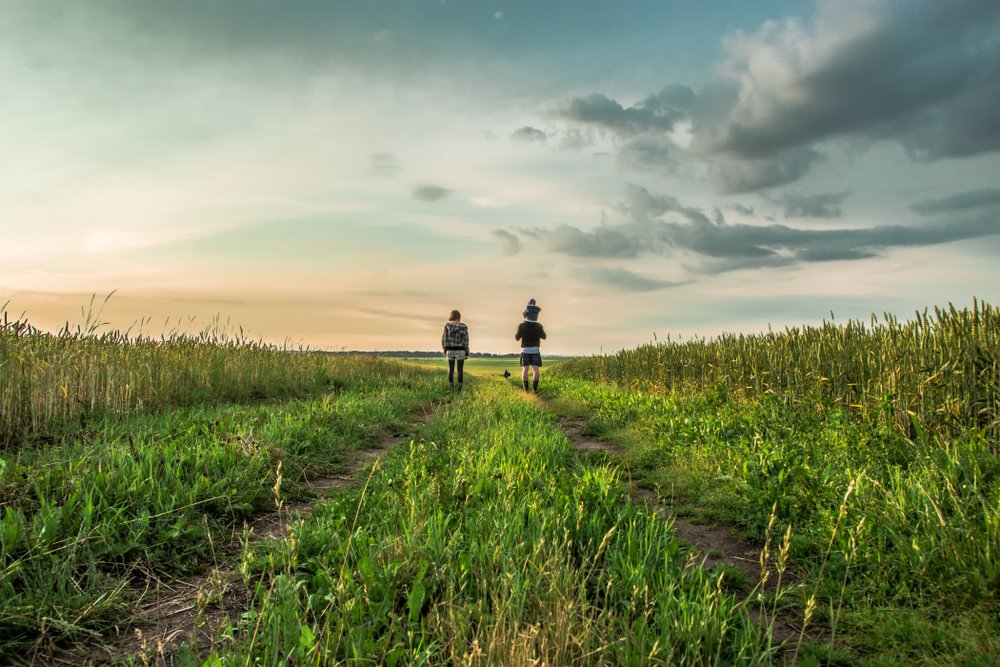 <p>Family walks on the field at sunset<br />
poljoprivreda, obiteljsko poljoprivredno gospodarstvo, OPG</p>