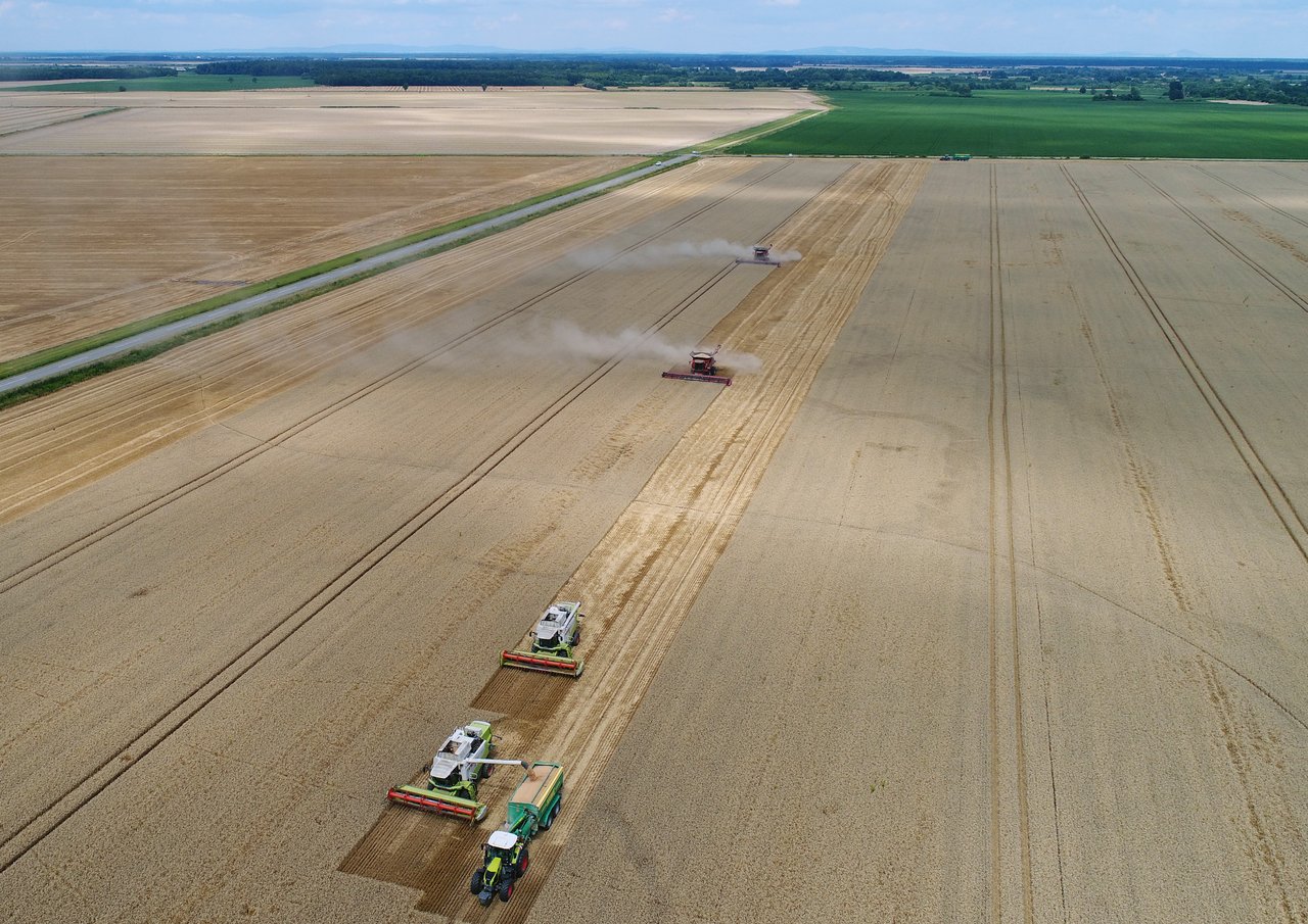 Agro Invest Group: Trotz herausfordernder Geschäftbedingungen übersteigt das Gewinnwachstum 200 Prozent