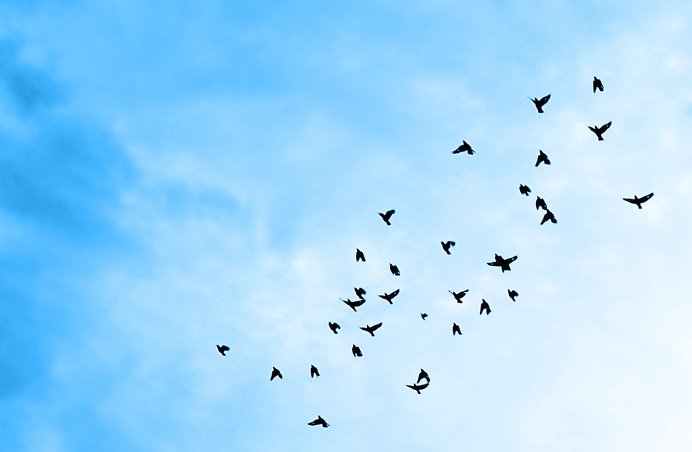 Preise spiegeln nicht mehr die Realität wider