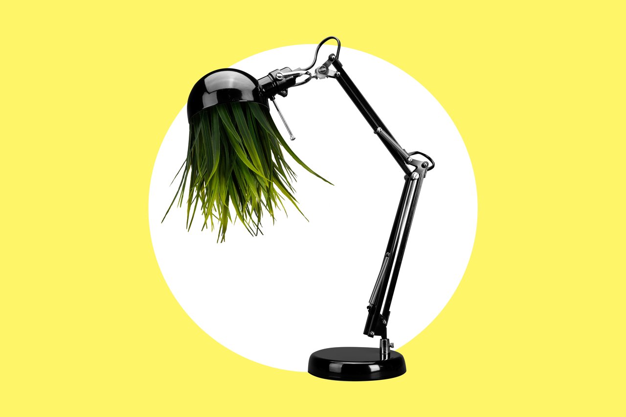 Heiße lokale Maßnahmen zur energetischen Sanierung