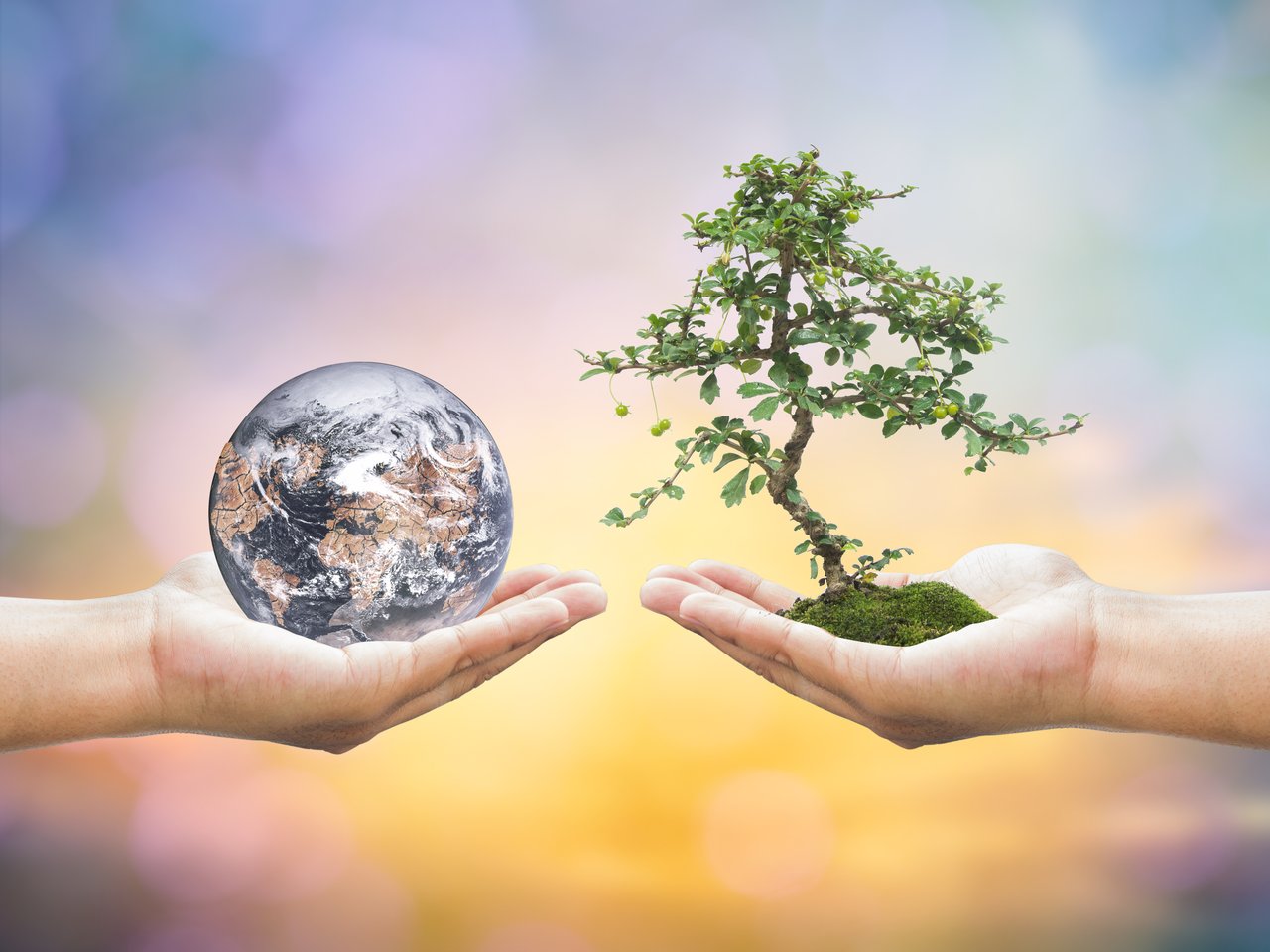 Hanfa: Umsetzung der Richtlinie zur Nachhaltigkeitsberichterstattung ab Anfang 2024