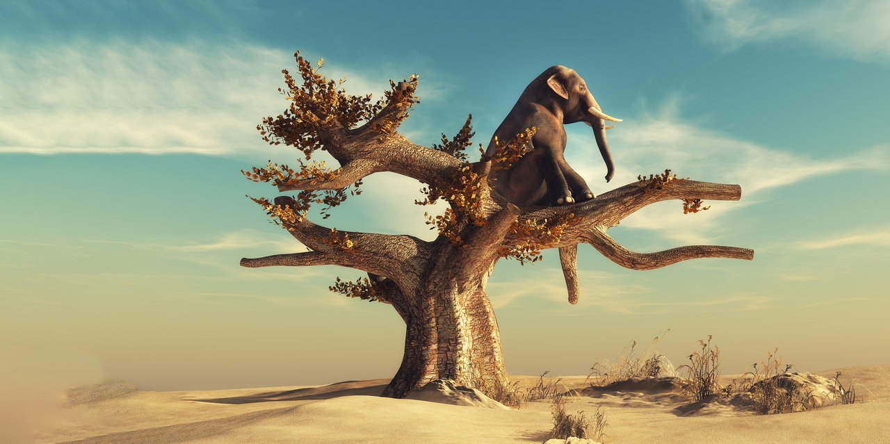 Unternehmen sollen verantwortlich sein, aber gibt es jemanden, der das durchsetzt?