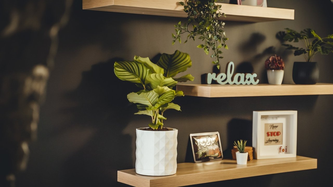 Studierende der FOI entwerfen einen smarten Blumentopf und gründen ein Startup