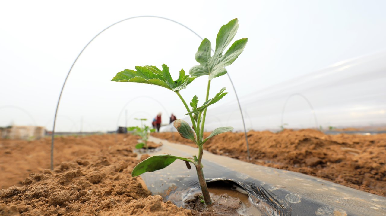 HPK: Das Verteidigungsbudget der EU darf die Unterstützung für Lebensmittelproduzenten nicht verringern
