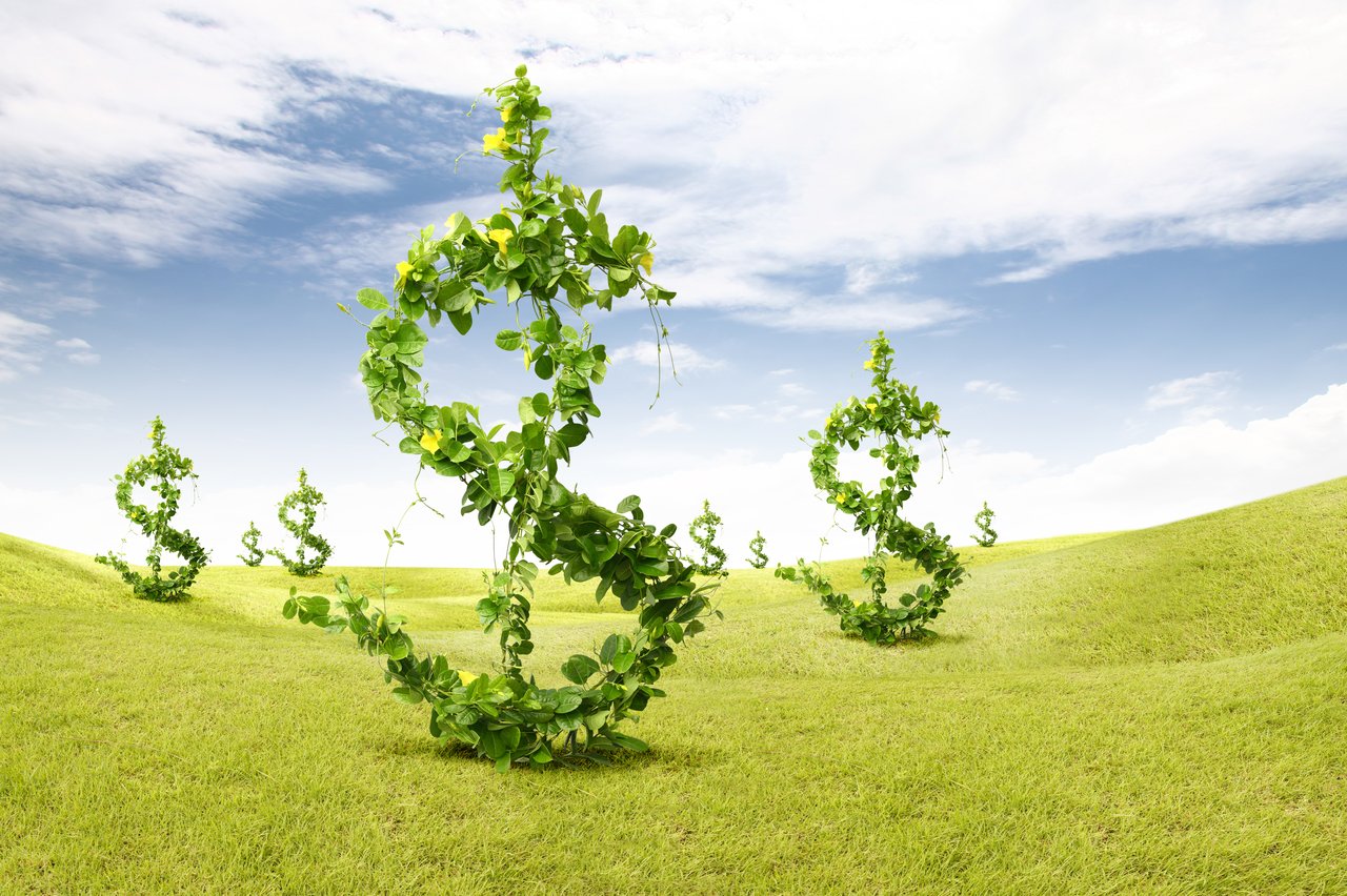 IEA: Solarprojekte übertreffen erstmals die Ausgaben für die Ölproduktion