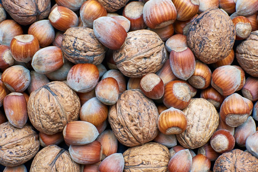Die Walnussproduktion wächst, aber die gesamte Anbaufläche nimmt ab