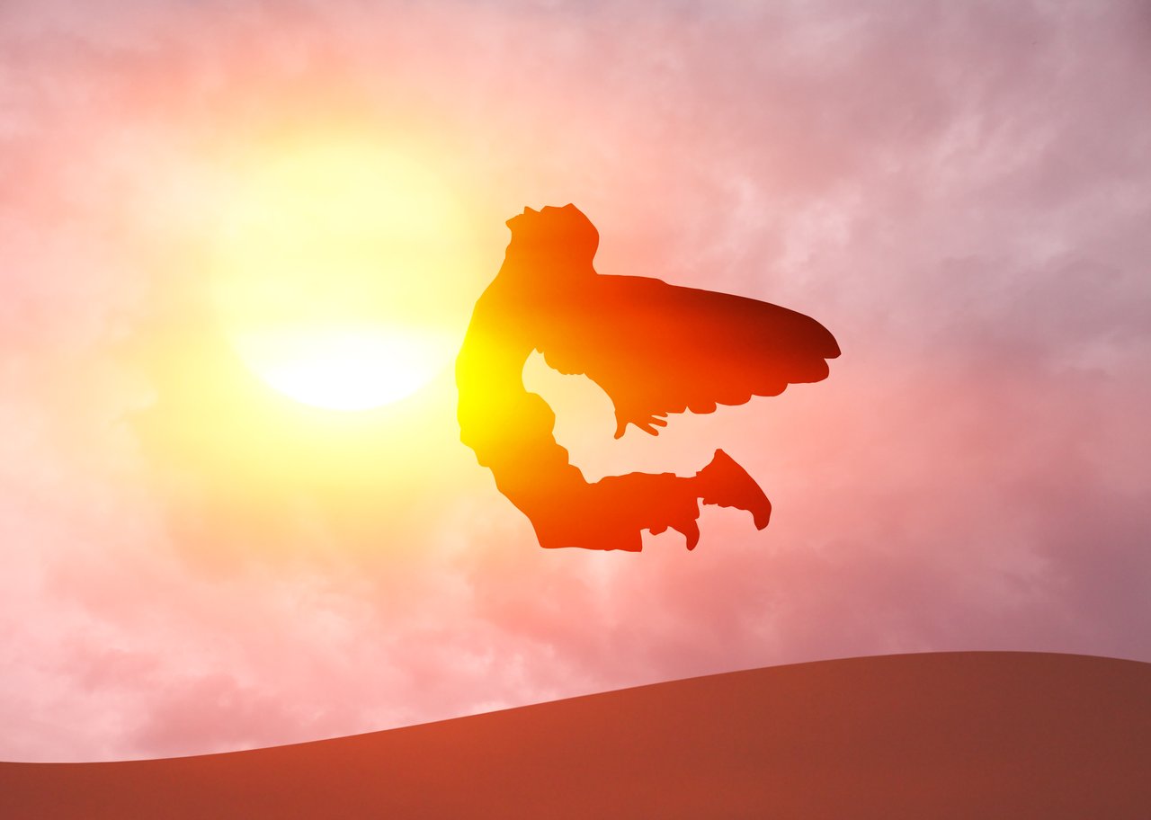 Wärmepumpen: Der Weg zu einem energieunabhängigen Zuhause