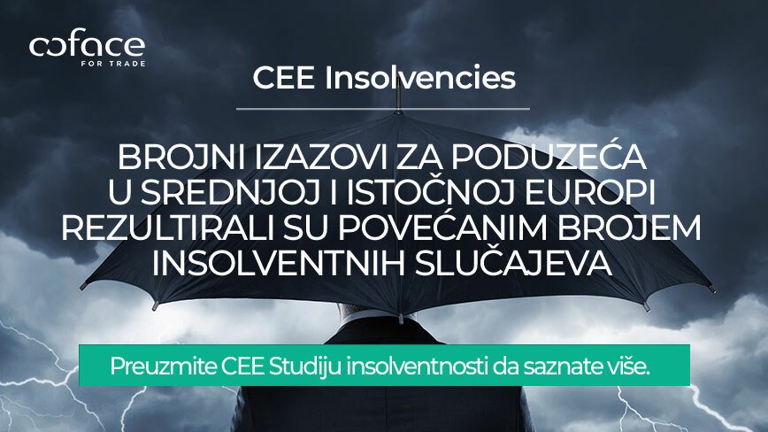 Zahlreiche Herausforderungen für Unternehmen in Mittel- und Osteuropa haben zu einer erhöhten Zahl von Insolvenzfällen geführt