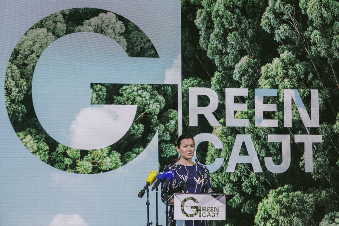 <p>Greencajt festival, martina bienenfeld</p>