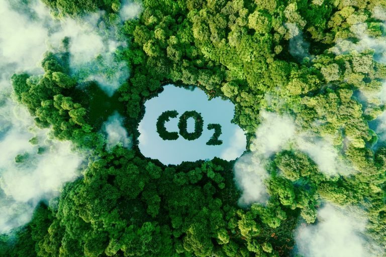 Liste der CO2-Verschmutzer: Welche Sektoren produzieren die meisten CO2-Emissionen?