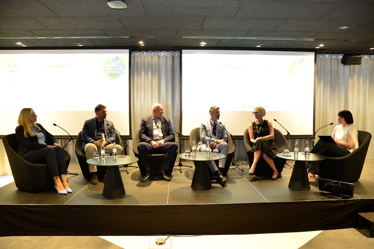 Wir können mit dem Anteil erneuerbarer Quellen im Energiemix zufrieden sein, aber es mangelt an Solarenergie und qualifiziertem Personal