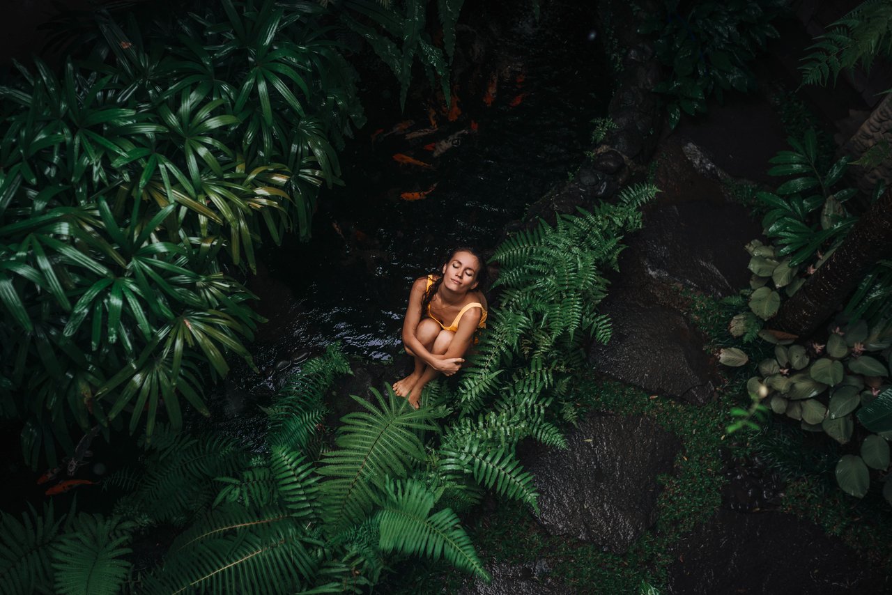 Biophilia in der virtuellen Realität: Baden im Wald