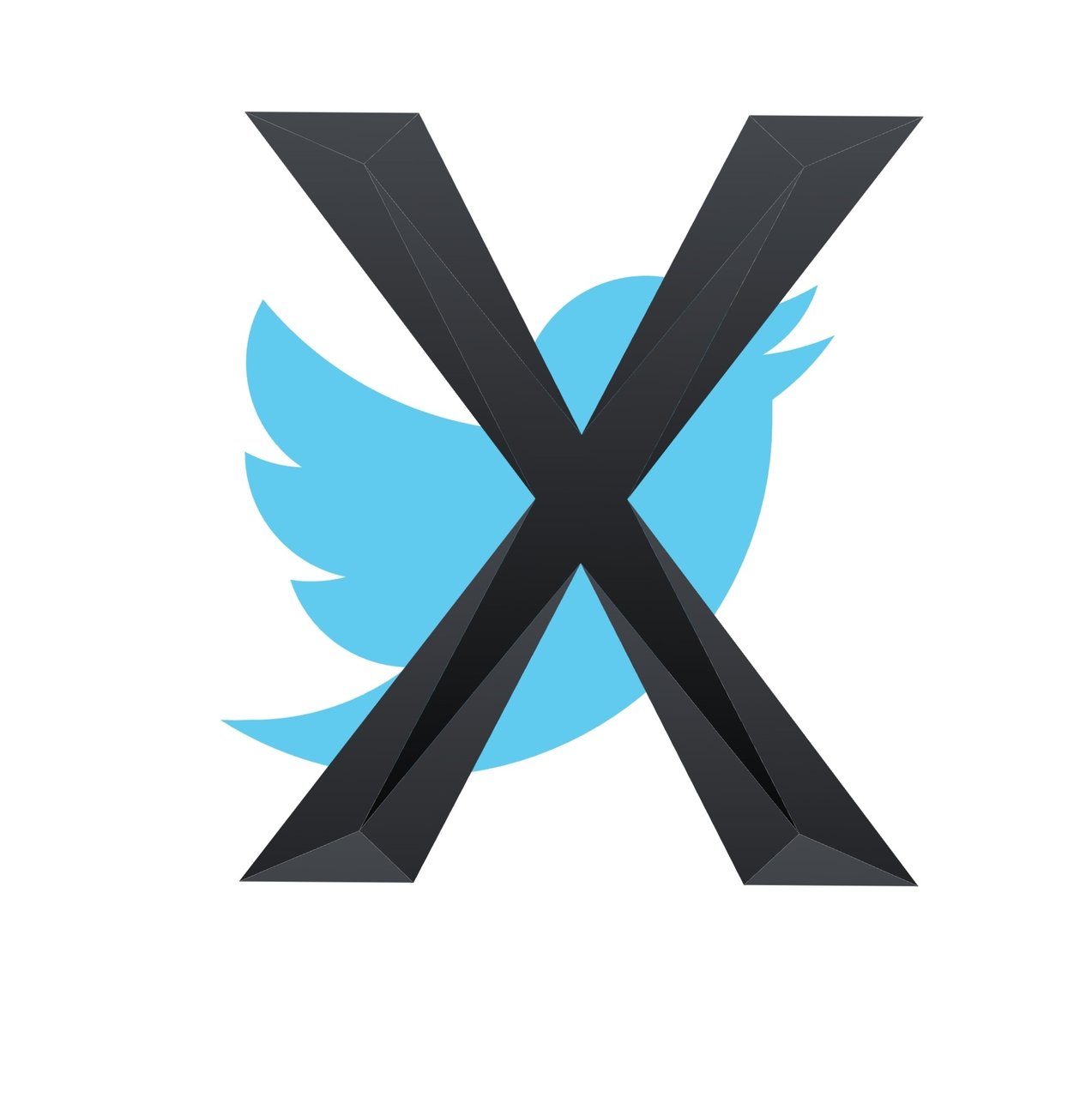 Fatal X: Die Umbenennung von Twitter ist ein großer Fehler