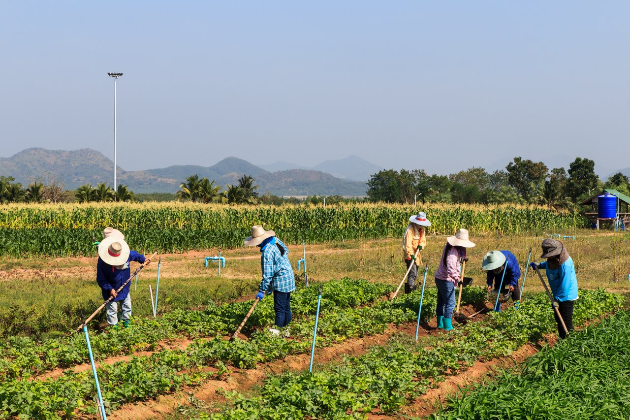 Bürokratische Hürden bei der Einstellung ausländischer Arbeitskräfte bestehen weiterhin