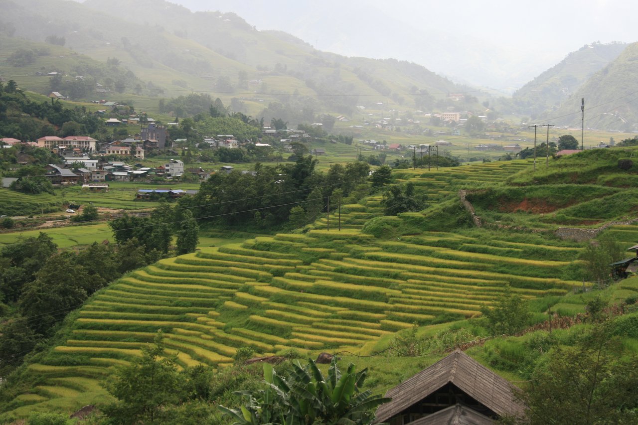 Reisebericht aus Vietnam: Jeder hier, abgesehen von Reisfeldern, ist im Tourismus tätig