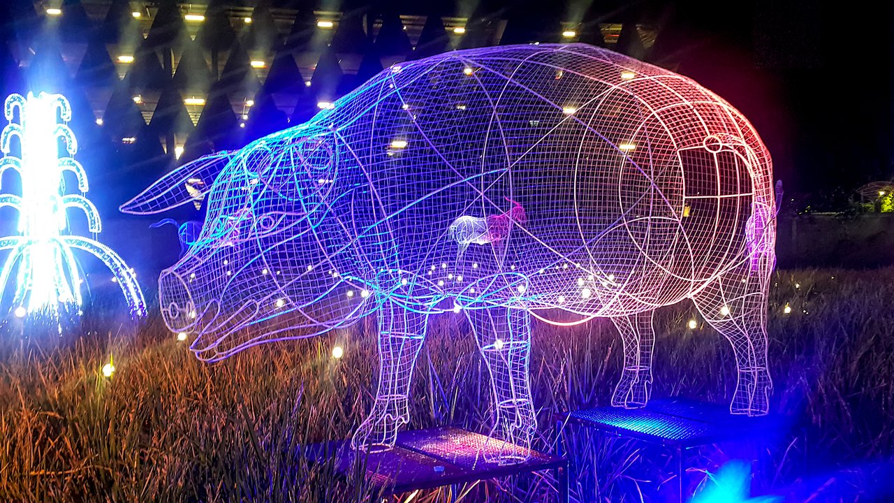 <p>GoAgro, NFTpig</p>