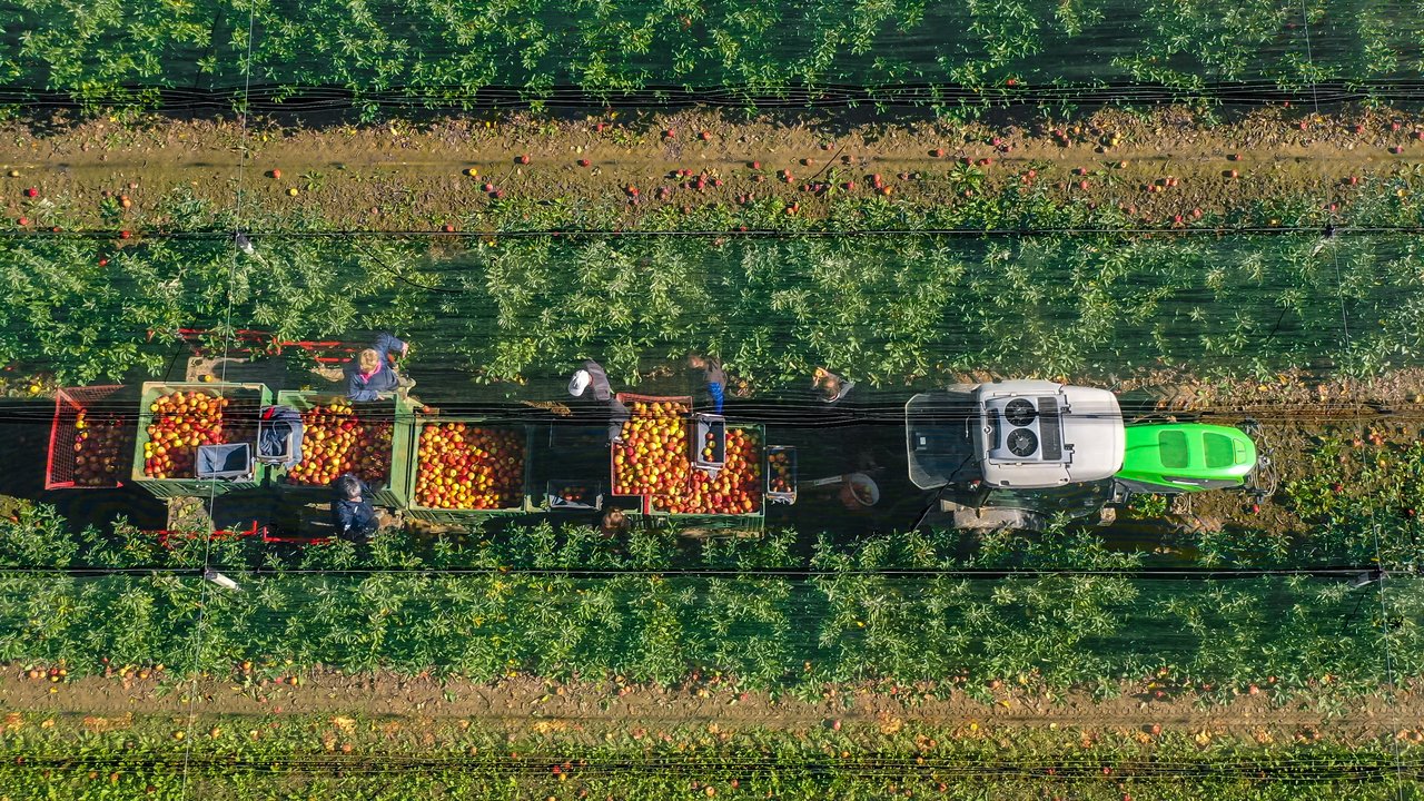 Alle Unternehmen der ENNA-Gruppe erzielten 2023 Umsatz- und Gewinnwachstum
