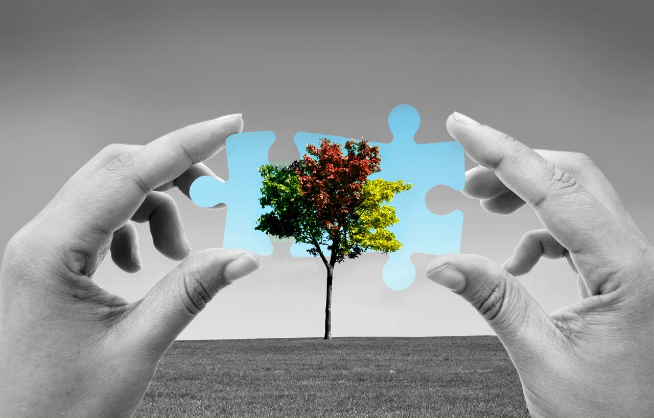 EIB investierte 49 Milliarden Euro in grüne Projekte im Jahr 2023