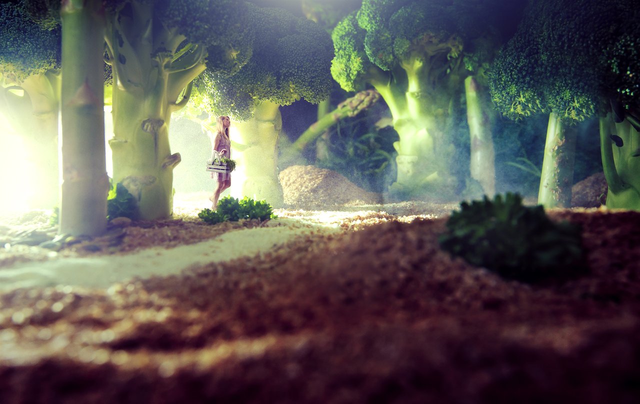 Sie wissen, was wir essen: Teil des strengsten Lebensmittelsicherheitssystems der Welt