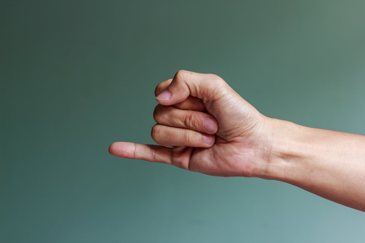 Miodrag Šajatović: Die Regierung gibt keine Versprechen zur Inflation ab und erfüllt das