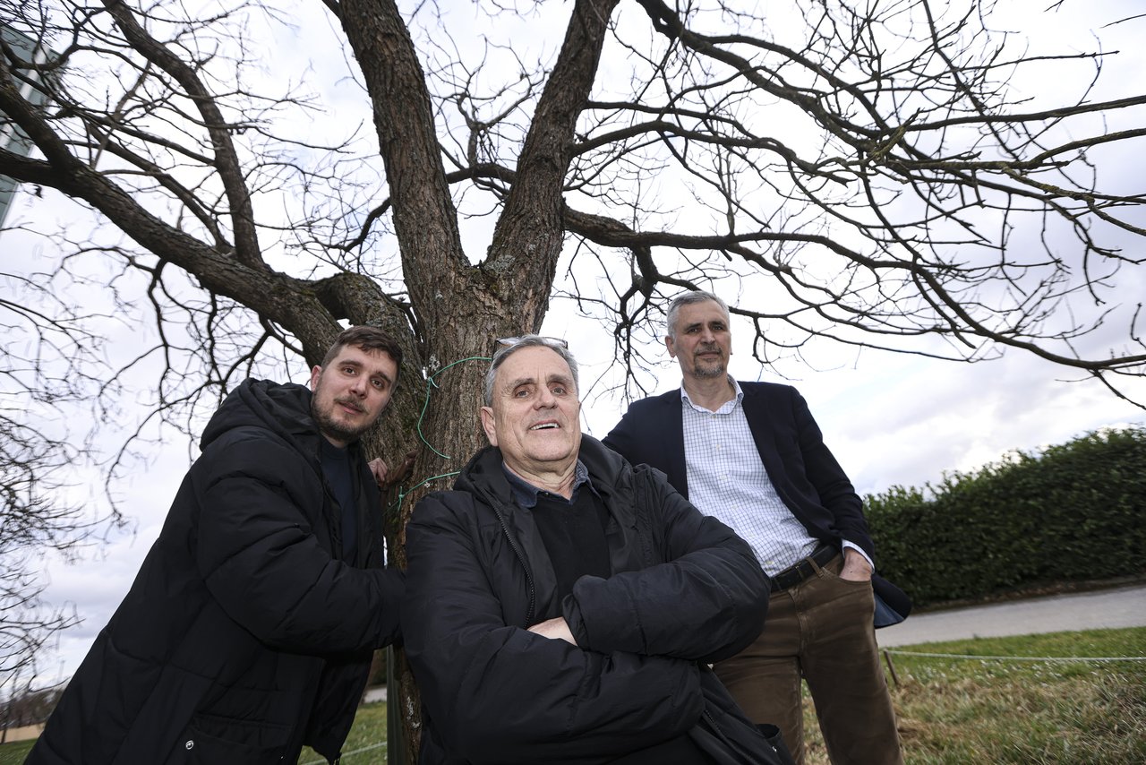 <p>Tin Udovč, Ivica Tikvić i Maks Udov</p>