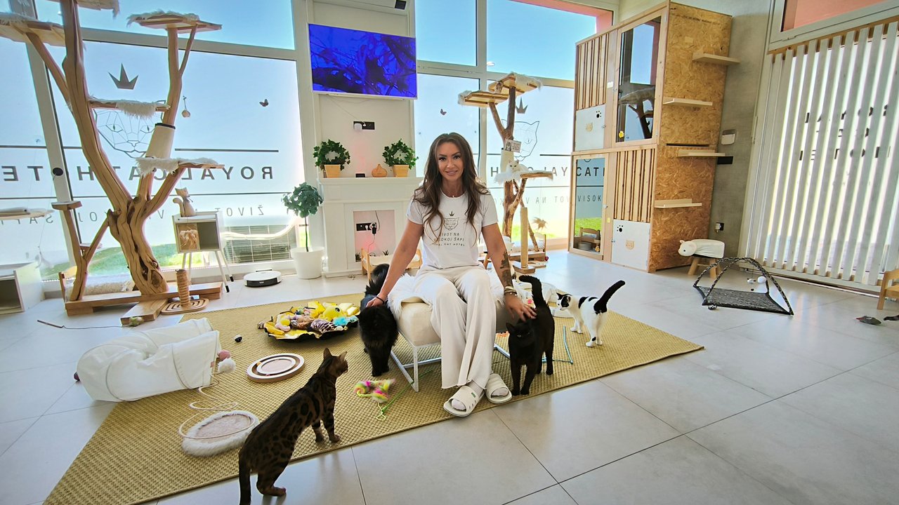 Mirjana Sović (Royal Cat Hotel): Considering Franchise Business Options