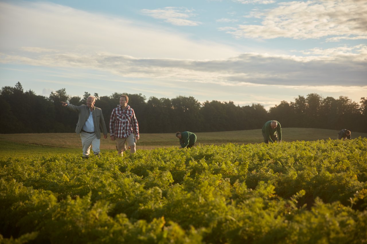 HiPP brand, a pioneer of organic farming, celebrates its 125th anniversary!