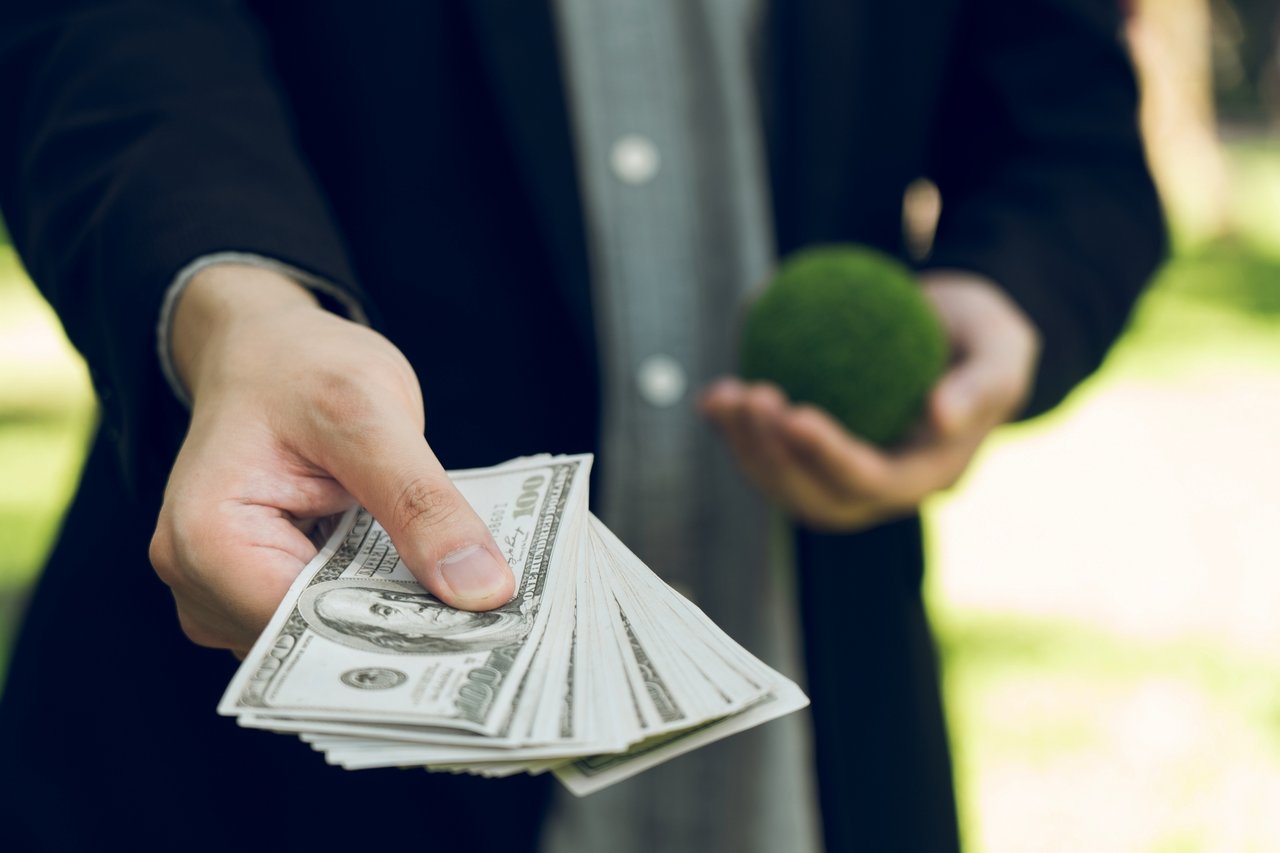 UN: Unternehmen müssen in Möglichkeiten zur Emissionsreduzierung investieren, nicht in CO2-Kompensationen