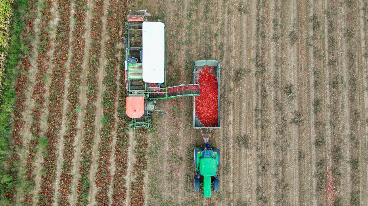 Podravka und Fortenova-Gruppe unterzeichnen einen Kaufvertrag für die Übernahme von Belje, PIK Vinkovci und Vupik