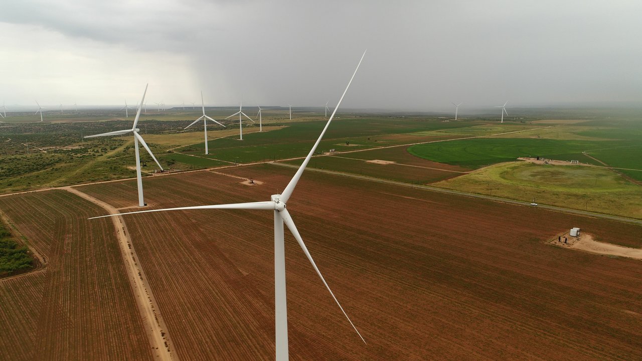 MARS Company erzielt Rekordreduzierung der Kohlenstoffemissionen