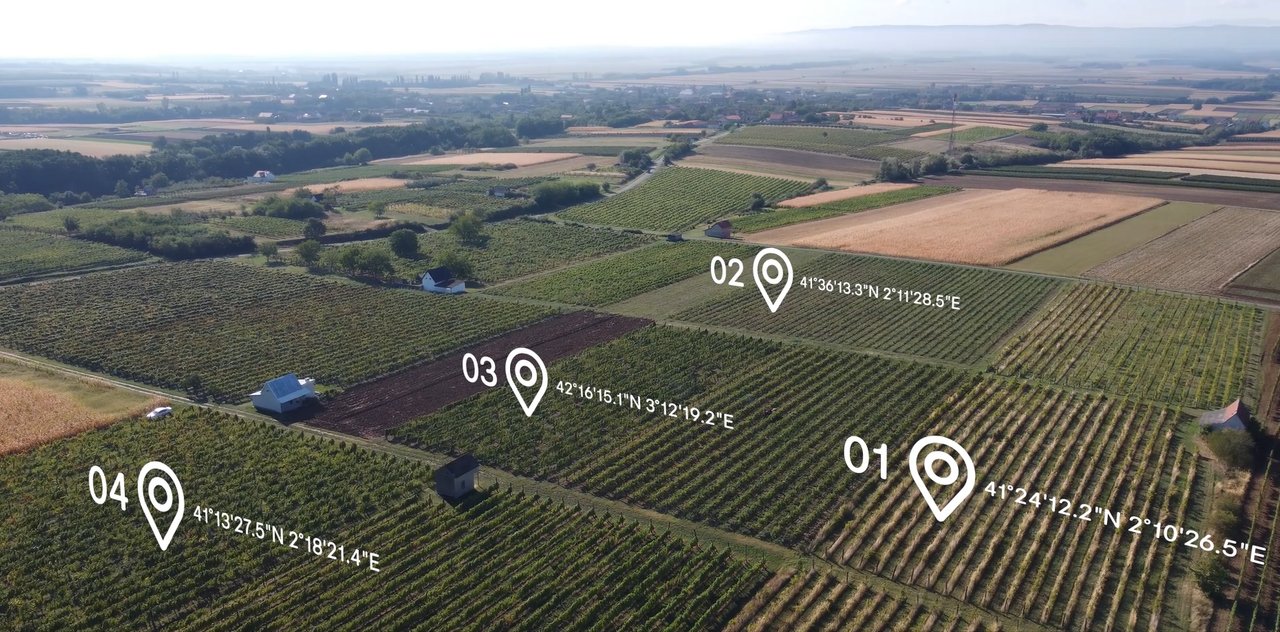 Wie Iločki Podrumi Drohnen für die Analyse und Wiederherstellung von Weinbergen nutzen