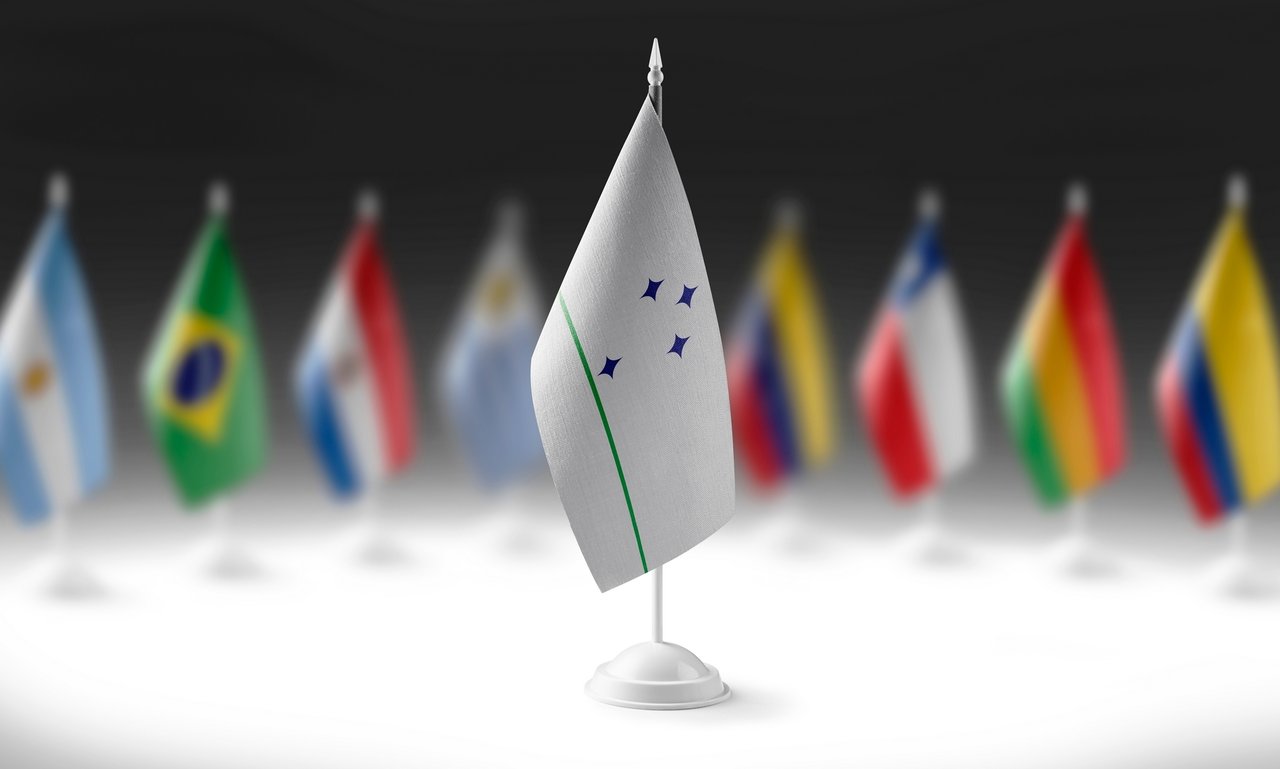 The Commission Initiated the Temporary Application of Mercosur