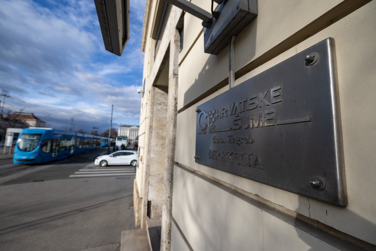 Festnahmen in Kroatischen Wäldern: Besseres Holz zum Preis minderer Qualität