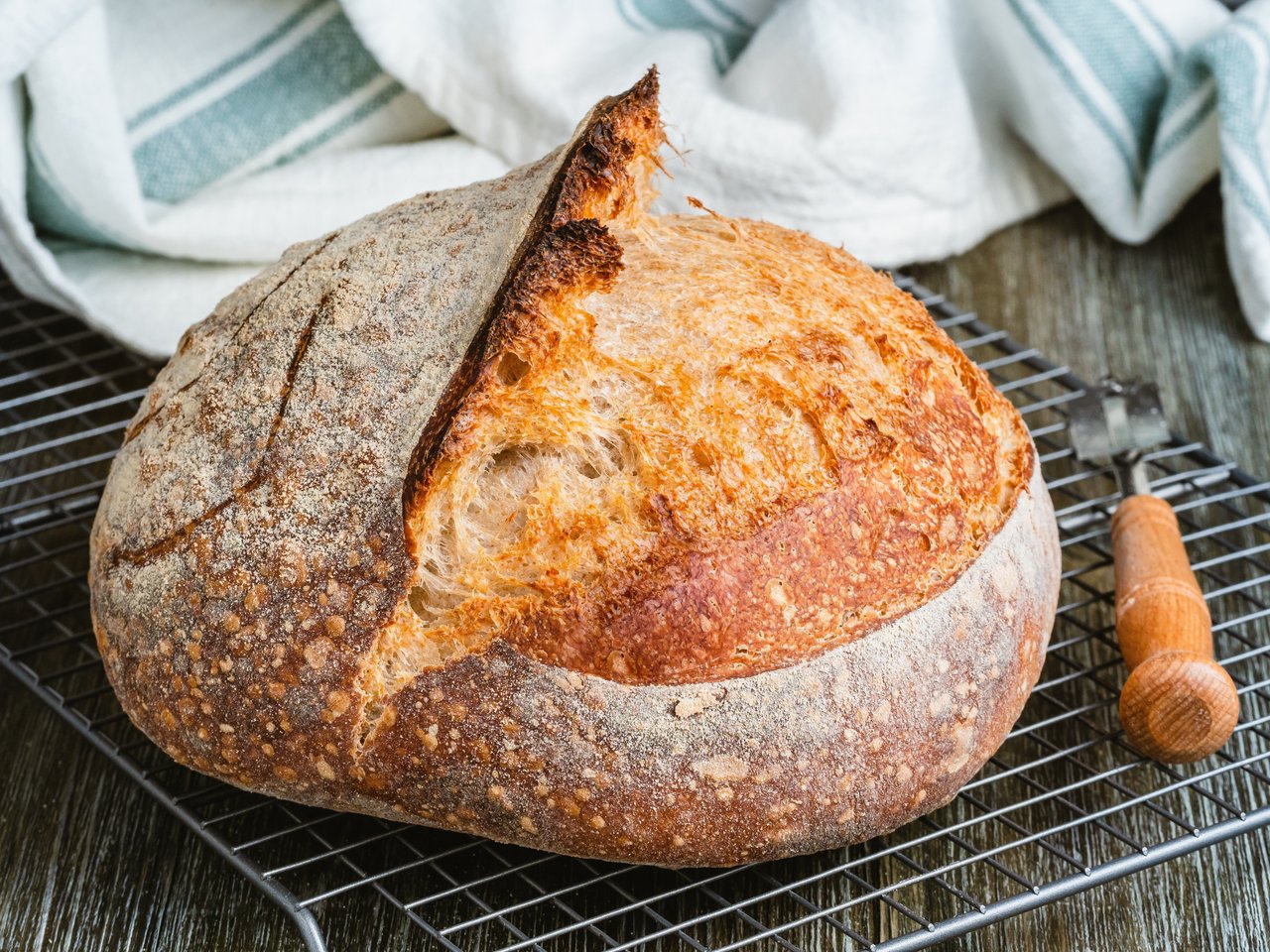 Der größte kroatische Exporteur von Backwaren – Pekar Tomo aus Vinkovci