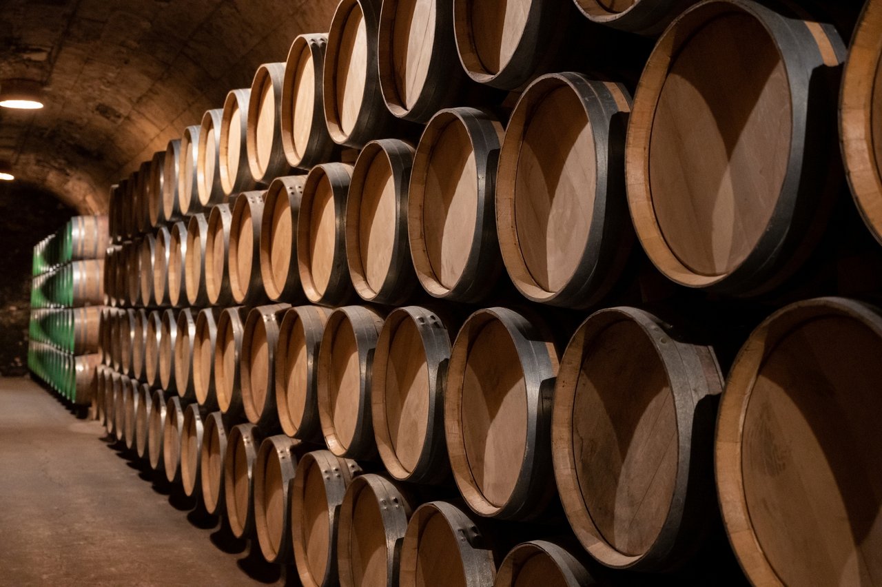 European Wine Industry at a Crossroads: Consumption Declines, Surplus Grows