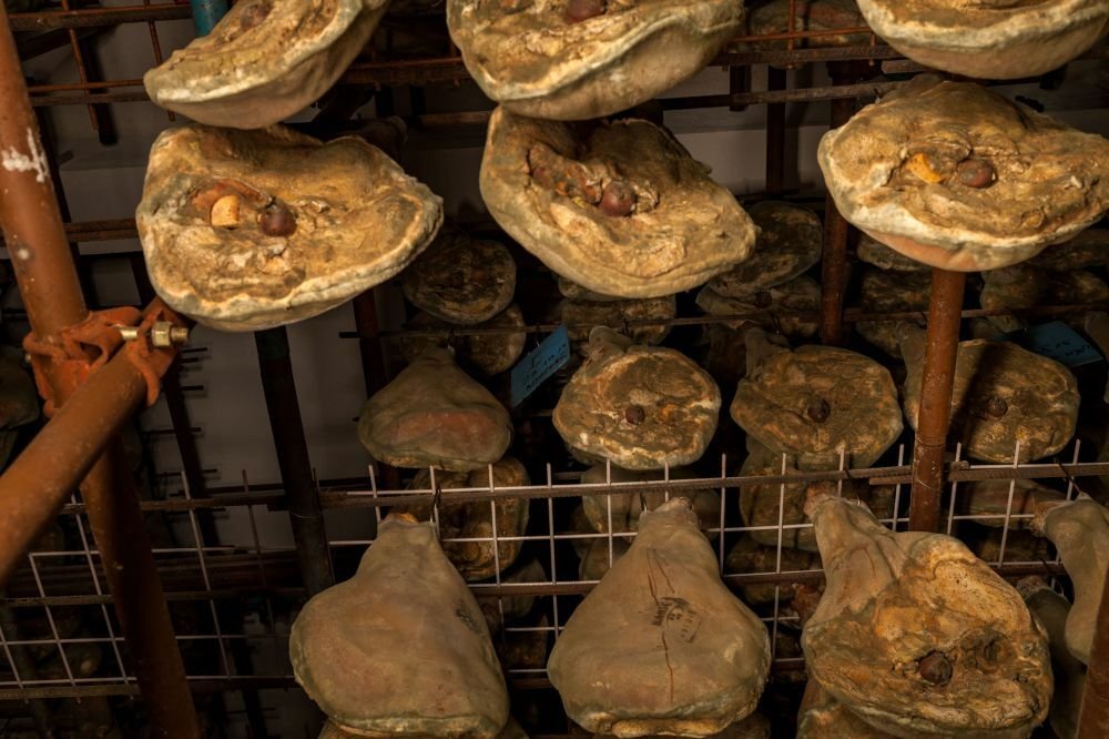 Où Disparaît le Jambon Saisi de Drniš ?