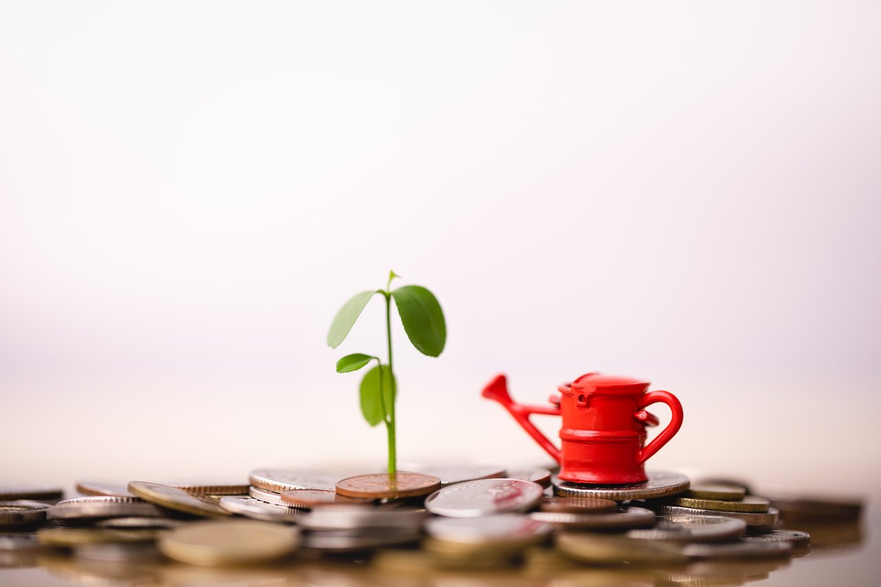 TMGM Handelsplattform eröffnet ihre Türen in der Region